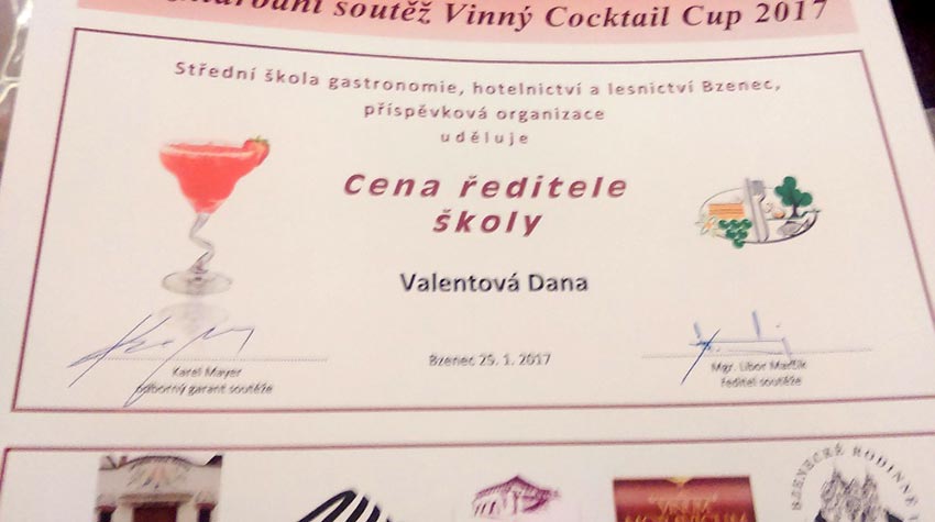 Vinný Cocktail Cup Bzenec 2017