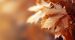 images/big/aktuality/3/344_2.jpg?v=1