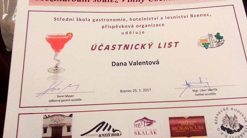 Vinný Cocktail Cup Bzenec 2017