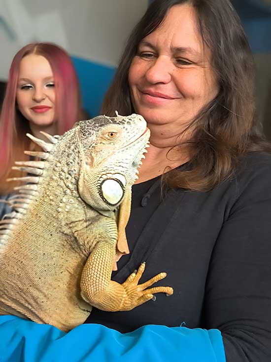 Zvířata