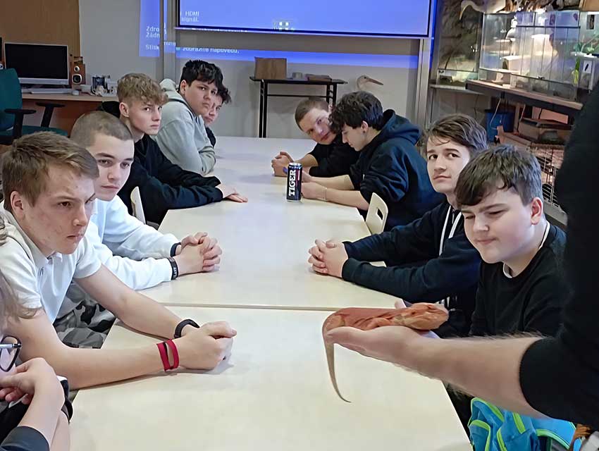Zvířata